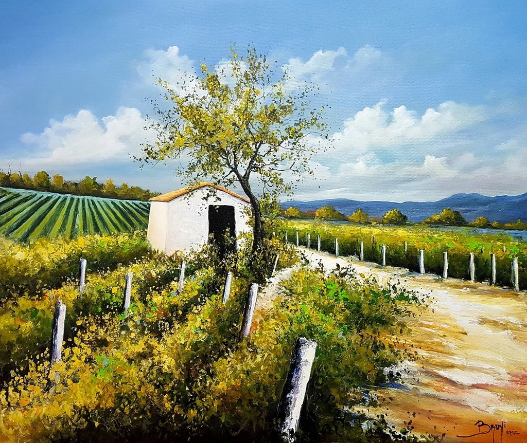 A summer in the vineyards ©Bruni Eric